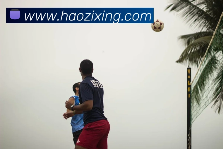 乐竞官方网站平台生态图