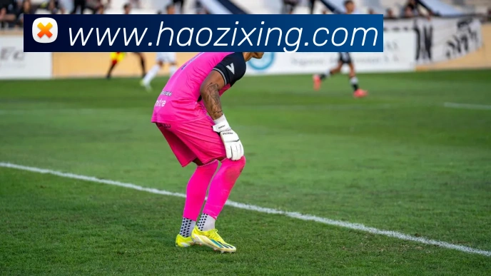 数据防护可视化